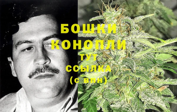 дживик Абаза