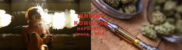 дживик Абаза