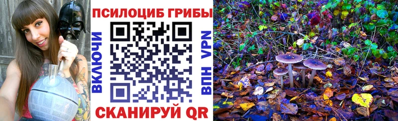 ОМГ ОМГ   Чухлома  Псилоцибиновые грибы Magic Shrooms 